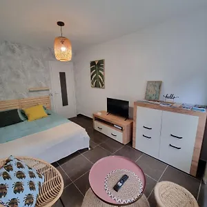 Studio Vieux Parking Prive Apartment